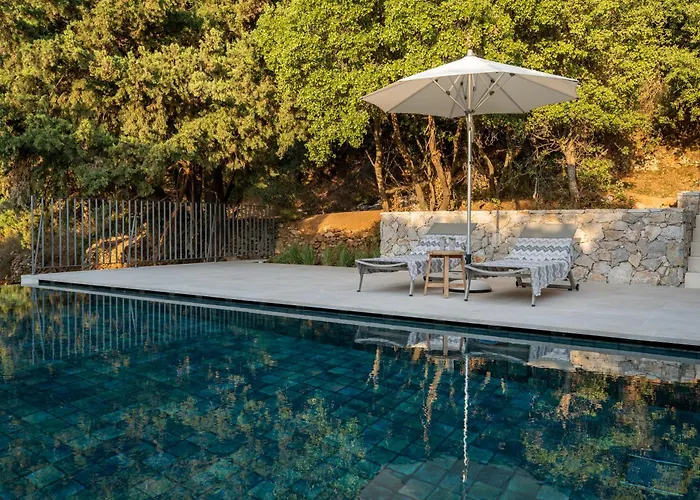 Forest View Lagoudi Zia