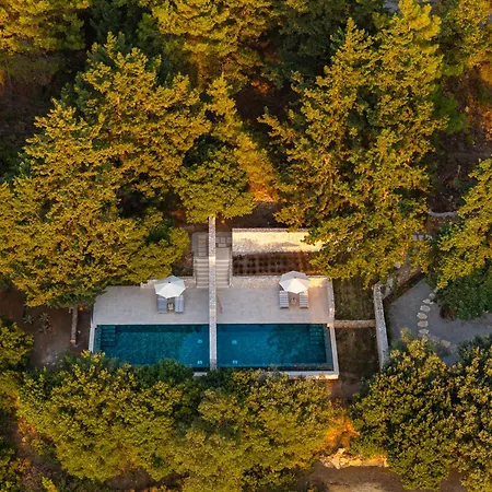 Forest View * Lagoudi Zia