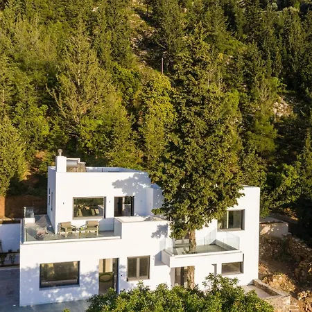 Forest View