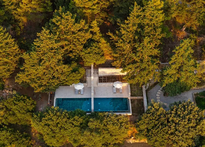 Forest View * Lagoudi Zia