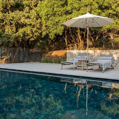 Forest View Lagoudi Zia