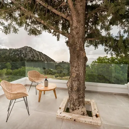 Willa Forest View *