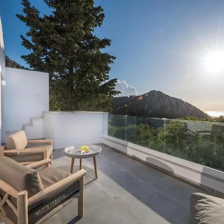 Forest View * Lagoudi Zia